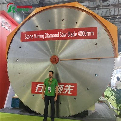 Duży brzeszczot do wydobywania kamienia